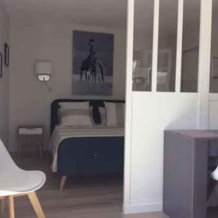 Climatisé Avec Petit Jardin Appartement